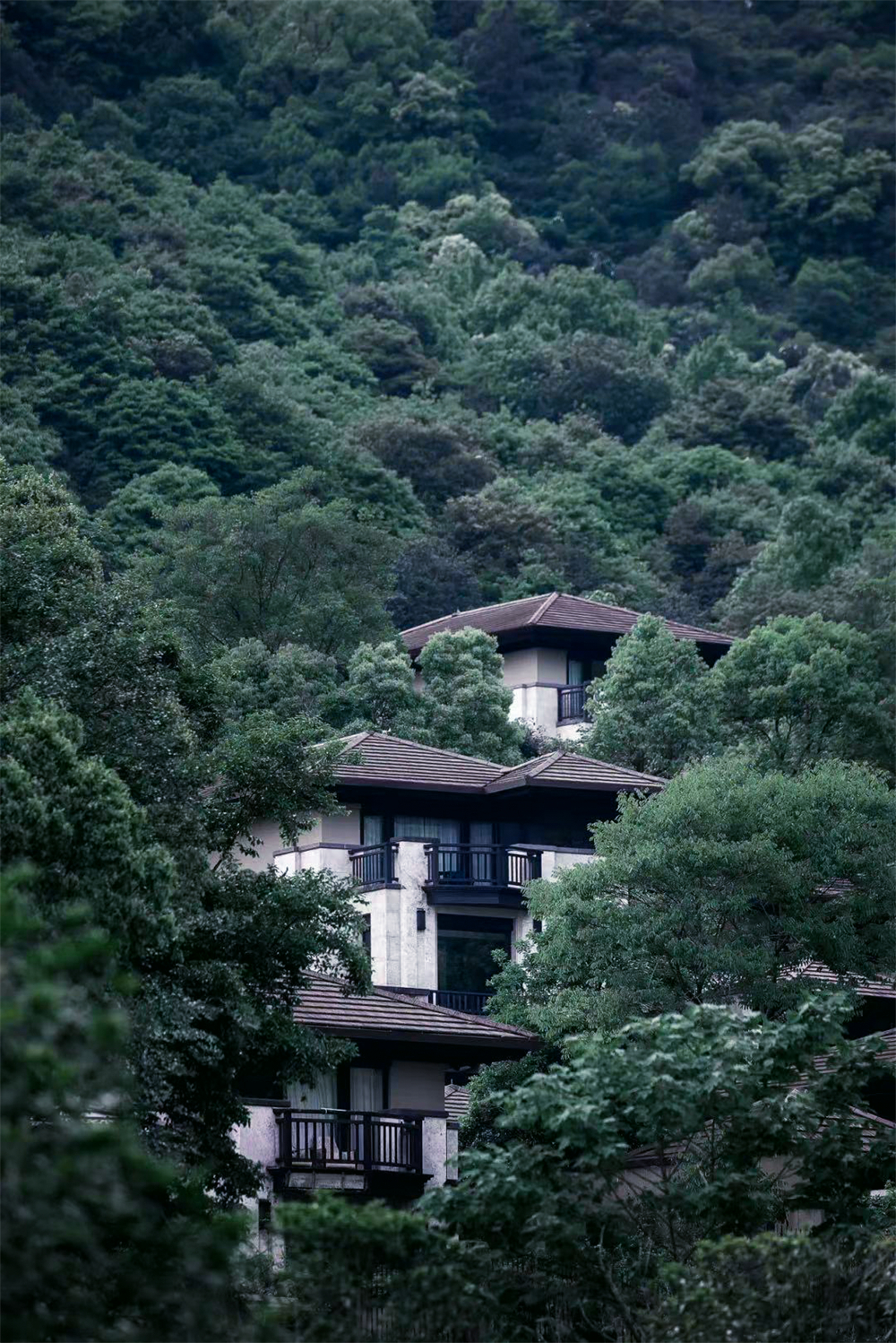 409㎡整木定制別墅,簡約新中式風(fēng)格(圖2) 3.jpg